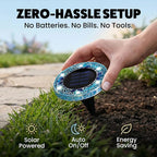 GlowPath Solar Lights