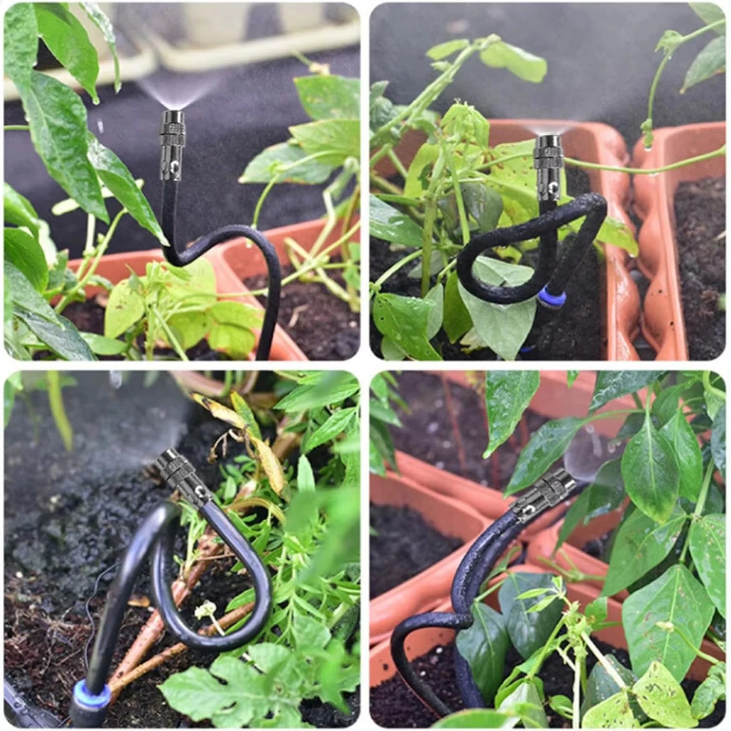 AquaCurve Irrigation System